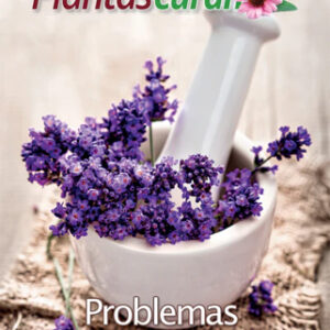 Plantas que curan problemas de la piel